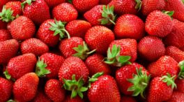 Miri Pérez (Supervivientes): «Me encantan las fresas porque son antioxidantes y absorben el hierro»