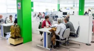 Cuatro claves para hacer de tu oficina un espacio más eficiente y sostenible
