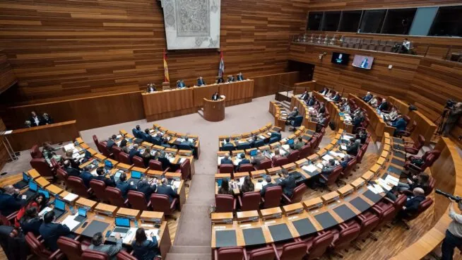 El Consejo Consultivo de Castilla y León advierte riesgos de inconstitucionalidad en la Ley de Publicidad Institucional