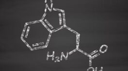 Claves para aumentar la eficacia del triptófano, aliado de nuestra salud mental