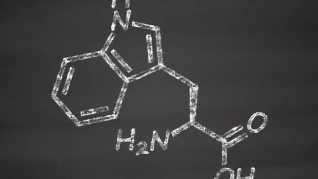 Claves para aumentar la eficacia del triptófano, aliado de nuestra salud mental