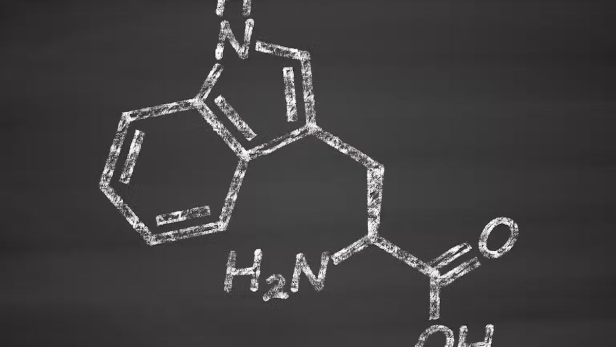 Claves para aumentar la eficacia del triptófano, aliado de nuestra salud mental