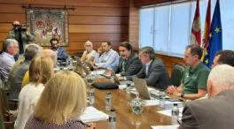 El sector de la madera de Castilla y León expone a la Junta sus necesidades tras los grandes incendios