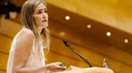 El PP advierte de que sería «muy grave» que se reparta el 'cupo eléctrico' con criterios políticos