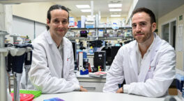 Un algoritmo epigenético rastrea el origen del cáncer y predice su progresión