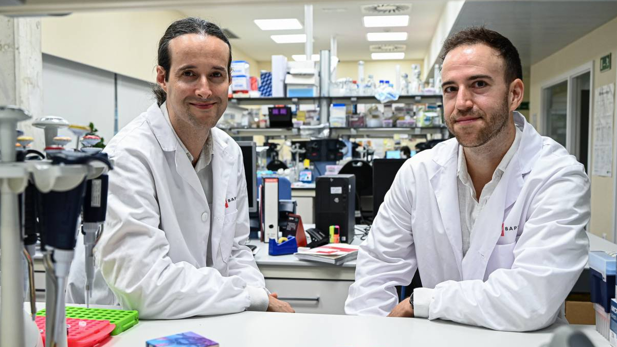 Un algoritmo epigenético rastrea el origen del cáncer y predice su progresión