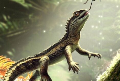 Un fósil hallado en Reino Unido revela cómo eran los ancestros de los lagartos