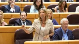 El PP comienza a tramitar en el Senado legalizar el corte de suministros a okupas