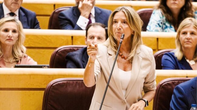 El PP ve «improvisado» el cierre del espacio aéreo a aviones militares a Irán