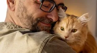 Así impacta en nuestro cerebro tener un gato como mascota