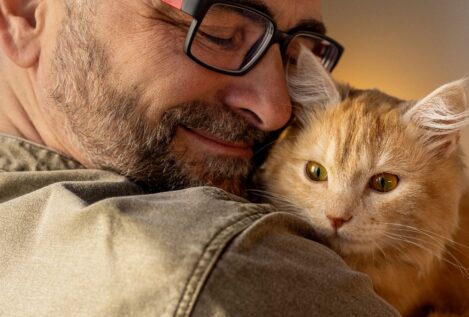 Así impacta en nuestro cerebro tener un gato como mascota