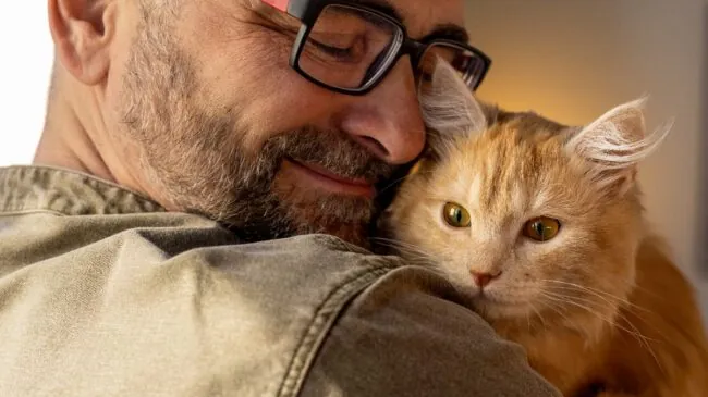 Así impacta en nuestro cerebro tener un gato como mascota