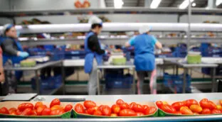 Andalucía lidera las exportaciones de alimentos en España con Almería al frente