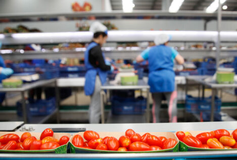 Andalucía lidera las exportaciones de alimentos en España con Almería al frente