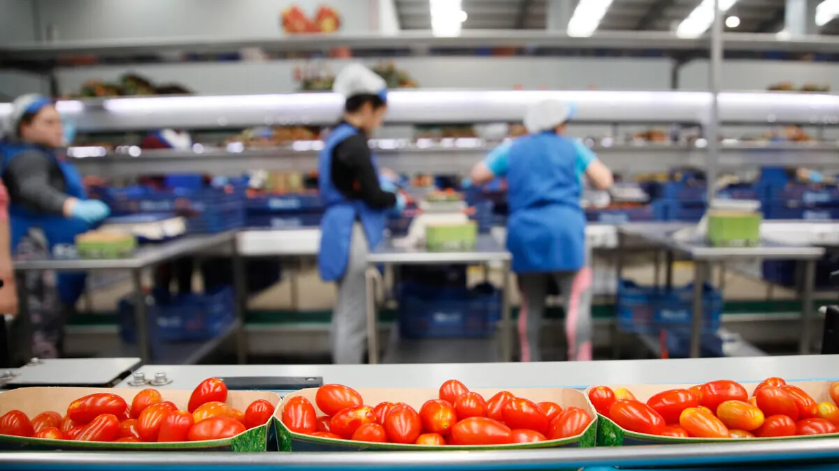 Andalucía lidera las exportaciones de alimentos en España con Almería al frente