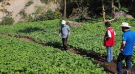 España gasta 10 millones de euros en un programa verde de América Latina