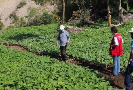 España gasta 10 millones de euros en un programa verde de América Latina