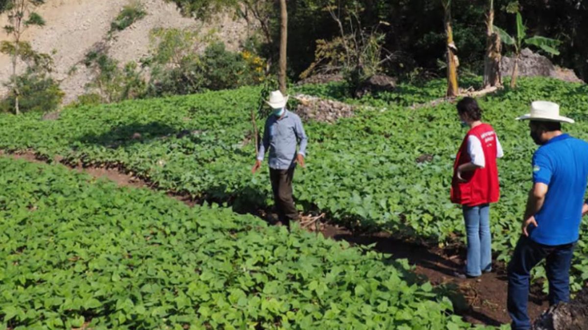 España gasta 10 millones de euros en un programa verde de América Latina