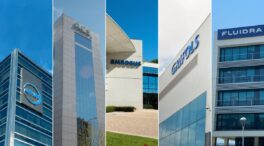 Amadeus, Grifols, Acerinox, ACS y Fluidra lideran la internacionalización del IBEX