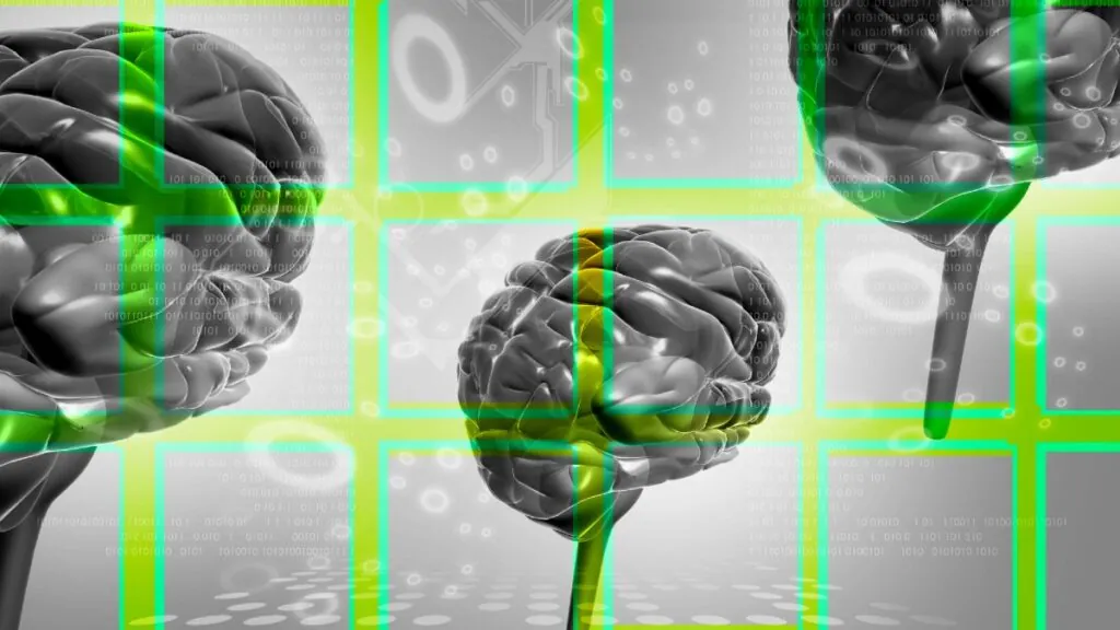 edulcorantes impacto cerebro