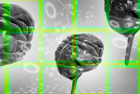 Los sustitutos del azúcar no son inocuos: un estudio alerta sobre su impacto en el cerebro