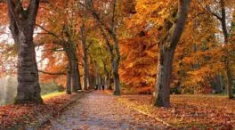 Equinoccio de otoño 2025 en España: a qué hora comienza hoy