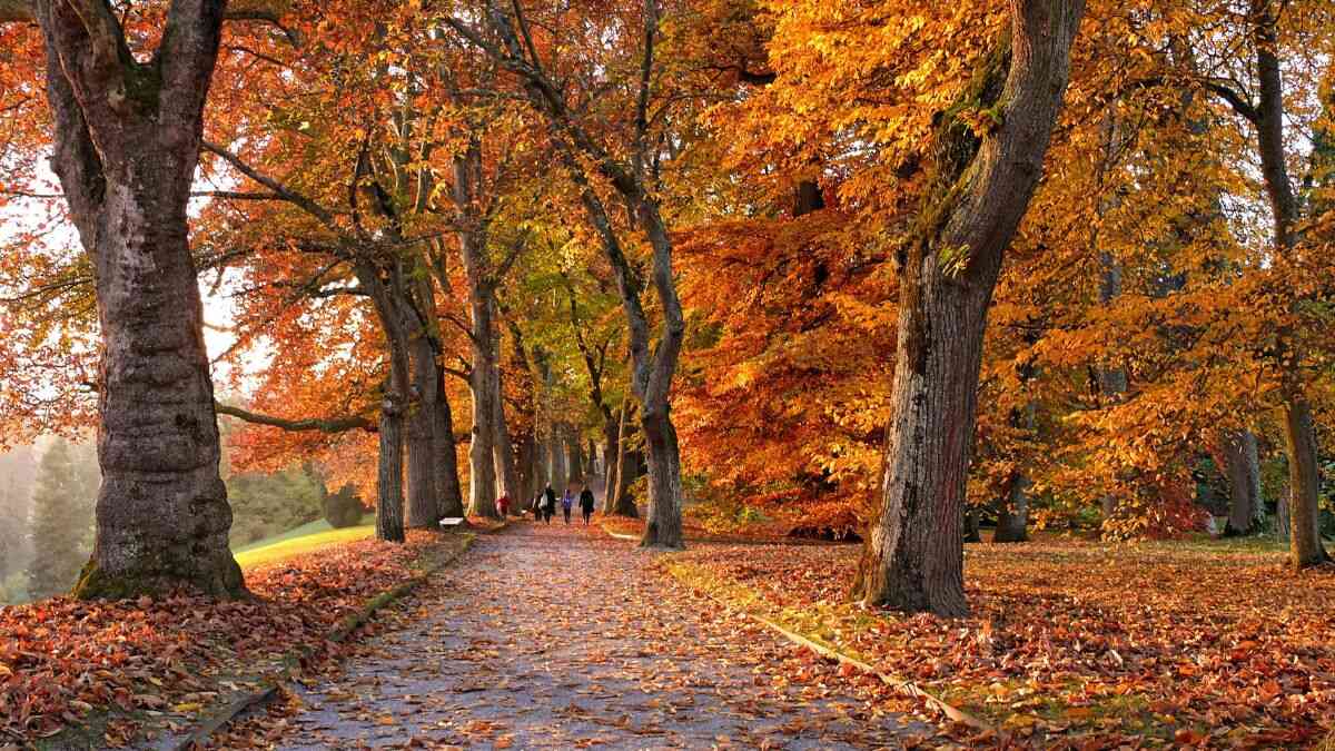 Equinoccio de otoño 2025 en España: a qué hora comienza hoy
