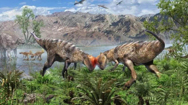 Hallan una nueva especie de paquicefalosaurio: un ‘adolescente’ con cabeza abovedada
