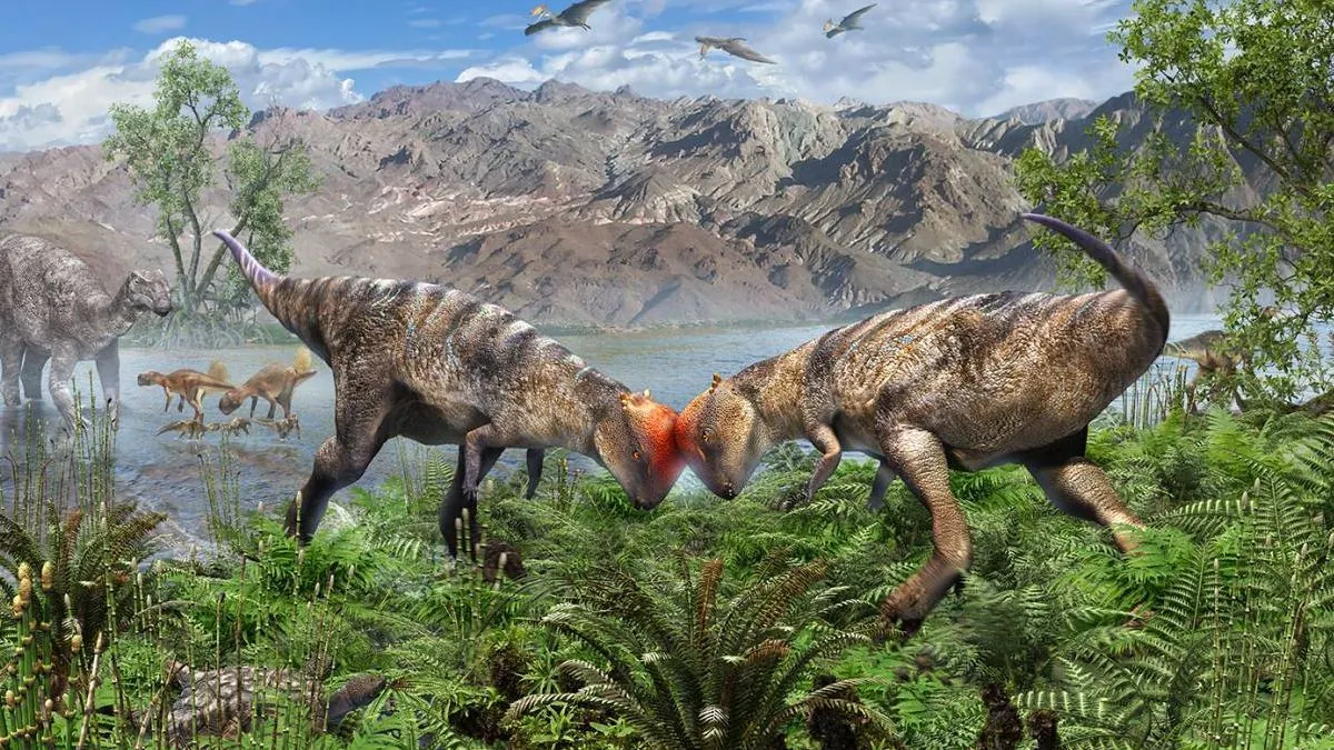 Hallan una nueva especie de paquicefalosaurio: un ‘adolescente’ con cabeza abovedada