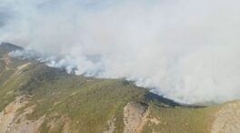 Se agrava el incendio de Pendilla (León) con centenar de efectivos trabajando en extinción