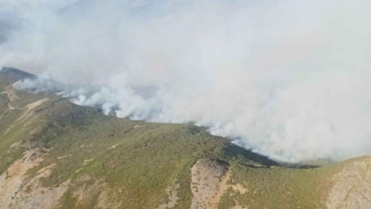 Se agrava el incendio de Pendilla (León) con centenar de efectivos trabajando en extinción