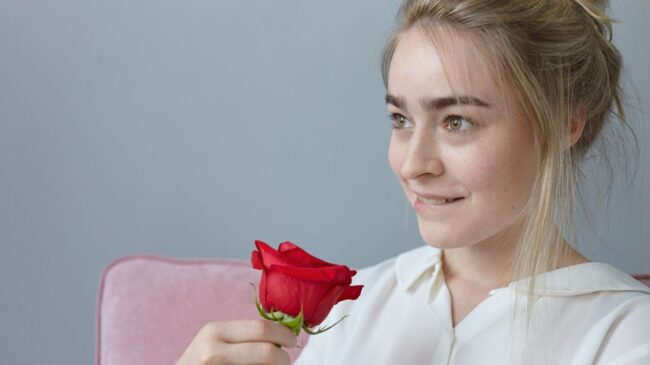 Una rosa es una rosa es una rosa es una rosa
