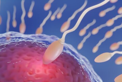 Desarrollan óvulos humanos potencialmente fecundables a partir de células de la piel