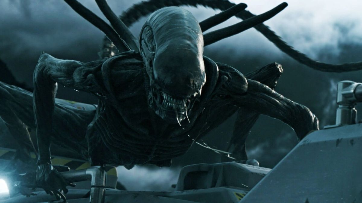 ‘Fungi ficción’: por qué los hongos son los nuevos extraterrestres en la ciencia