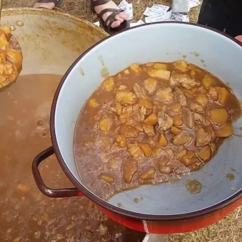 Sorropotún