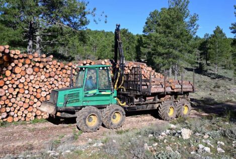 Gómez-Pintado crea una asociación de gestión forestal y fomento de la edificación en madera