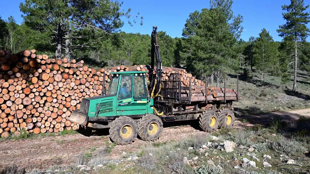 Gómez-Pintado crea una asociación de gestión forestal y fomento de la edificación en madera