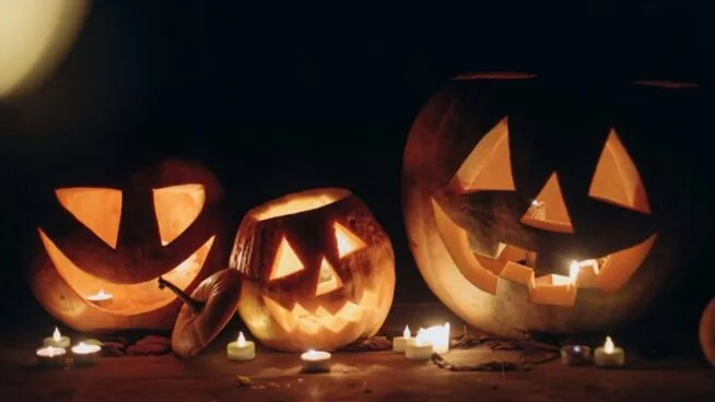 Un microbio dio origen a la tradición de tallar calabazas en Halloween
