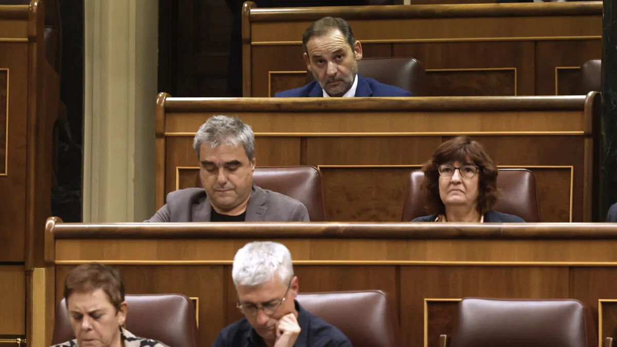 Que alguien la meta, aunque sea Ábalos