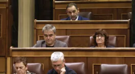 Que alguien la meta, aunque sea Ábalos