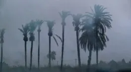 Emergencias envía un Es-Alert a los móviles del litoral sur de Alicante por la alerta roja
