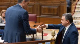 El PNV se borra de la histórica comparecencia de Pedro Sánchez en el Senado