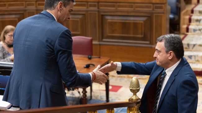 El PNV se borra de la histórica comparecencia de Pedro Sánchez en el Senado