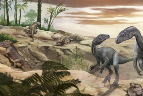 Cómo los dinosaurios desarrollaron cuerpos enormes y cuellos largos