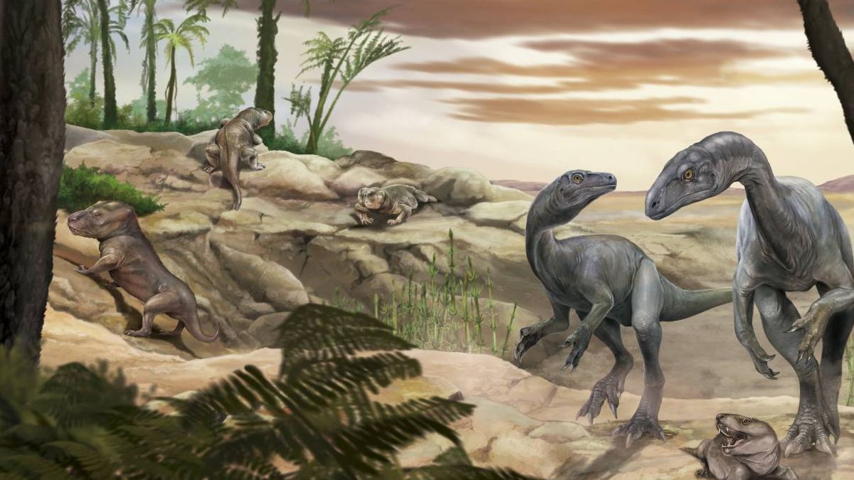 Cómo los dinosaurios desarrollaron cuerpos enormes y cuellos largos