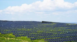 La alcaldesa de Lopera pacta con SOS Rural para frenar el megaproyecto fotovoltaico