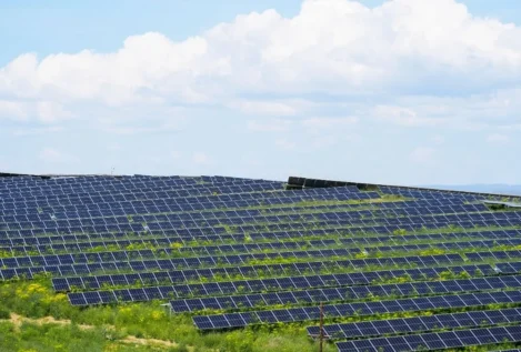 La alcaldesa de Lopera pacta con SOS Rural para frenar el megaproyecto fotovoltaico