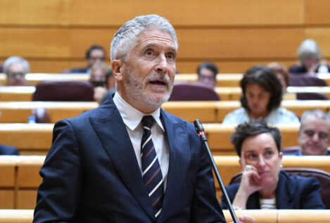 Marlaska reprocha al PP su actitud «miserable» al «banalizar» el terrorismo de ETA