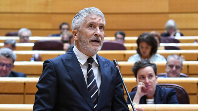 Marlaska reprocha al PP su actitud «miserable» al «banalizar» el terrorismo de ETA