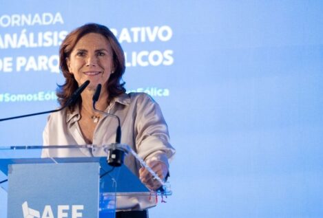 La eólica pide un marco regulatorio con interpretaciones que garanticen inversiones